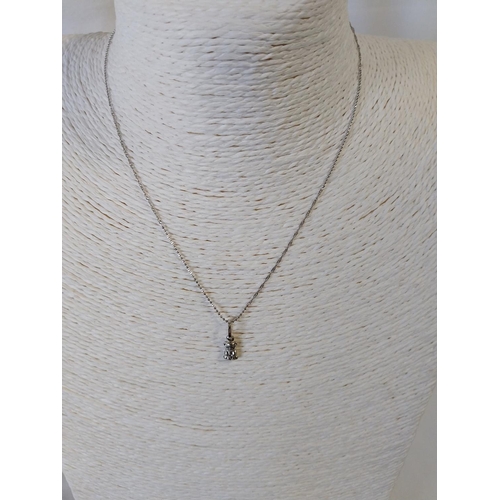 17 - 18ct white gold chain with a 14ct white gold teddy pendent