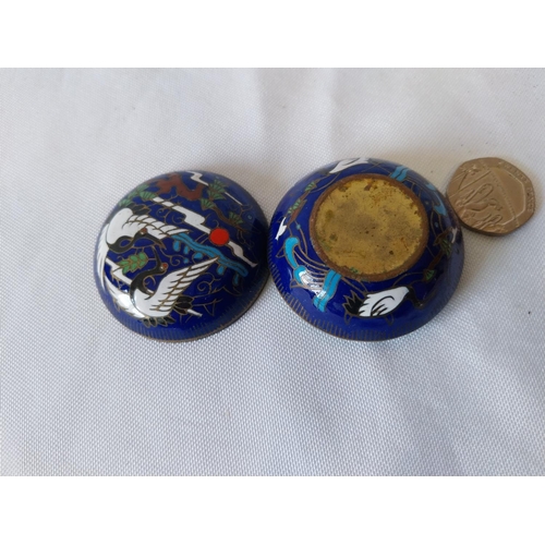 230 - cloisonne brass snuff box