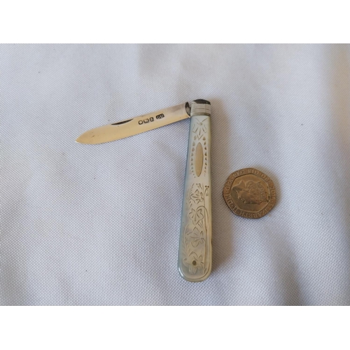 384 - HM silver bladed MOP fruit knife c1893