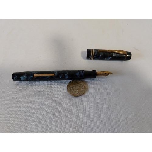 Unique fountain pen 14ct gold nib