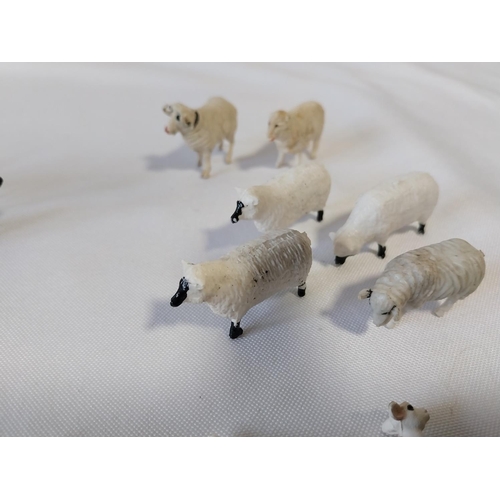 211 - 1970s Britains farm animals sheep & lambs