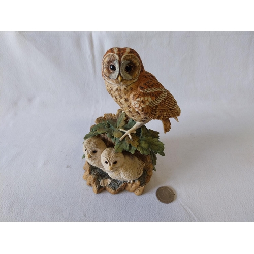 237 - Border Fine Arts Tawny Owl & Owlets
