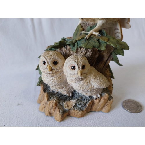 237 - Border Fine Arts Tawny Owl & Owlets