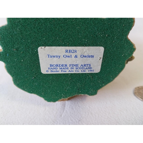 237 - Border Fine Arts Tawny Owl & Owlets