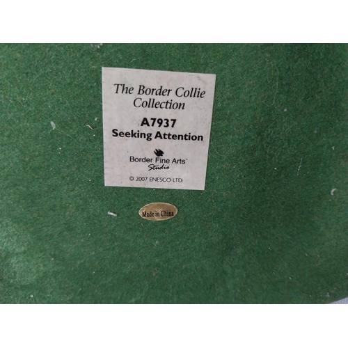 306 - Border Fine Arts Seeking Attention