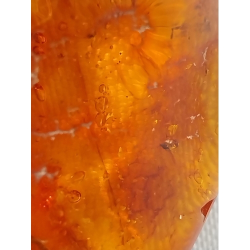 248 - genuine tested large piece of amber small fly in corner