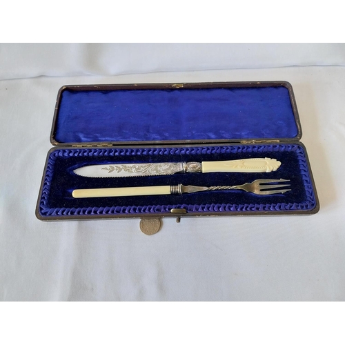 286 - 19th century bone handled server