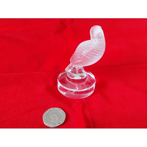 113 - Signed Lalique frosted preening turtledove