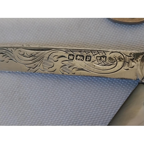 34 - HM Silver bladed fruit knife c1907