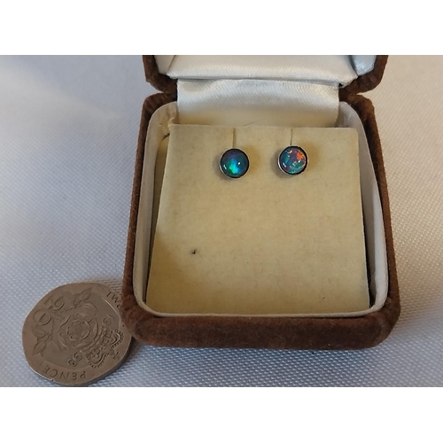 65 - 925 Silver & Australian Opal stud earrings