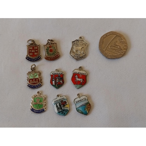 133 - 9 Silver & enamel charms/fobs