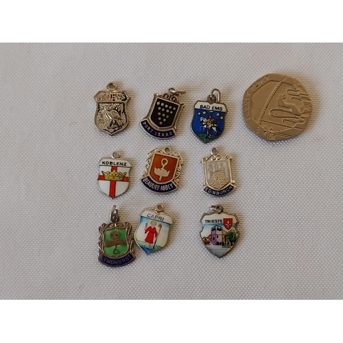 134 - 9 Silver & enamel charms/fobs