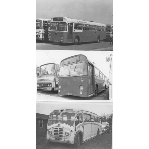 315 - Approx. 200 postcard size black & white and a few colour prints.
A good selection of UK Bus types an... 