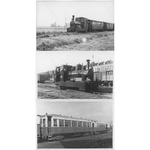 Lot 80        