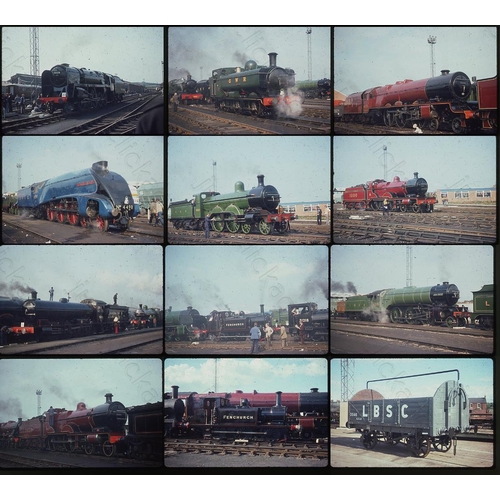 Lot 91        