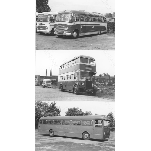 240 - U.K. Bus, trolleybus and a couple of tram subjects. Approx. 100, black and white postcard size print... 