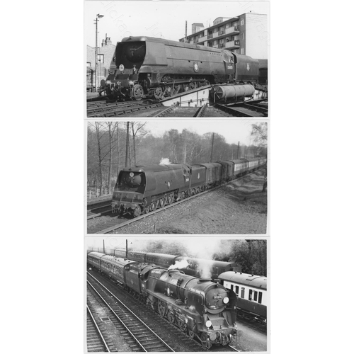 386 - Railway. Ex Southern/BR Steam. A fine collection of 100+ black and white, postcard size prints of ex... 