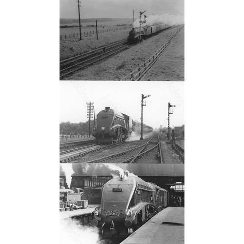 5 - Railway. L.N.E.R. Pacifics. A box of Approx. 500, black and white, postcard size prints. The prints ... 