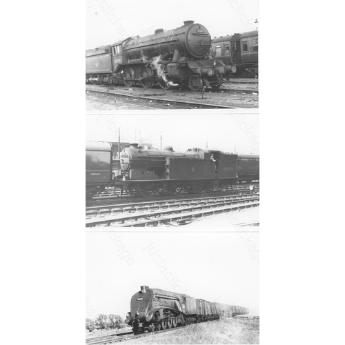 194 - Railway. B.R. Steam. A good collection of approx. 250+, black and white, postcard size prints. The p... 