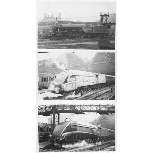 195 - Railway. Pre Grouping Types. A good collection of approx. 170, black and white, postcard size prints... 