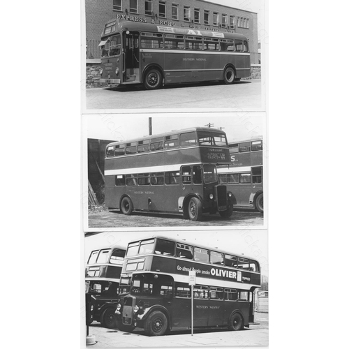 230 - U.K. Bus. A small collection of 79 x black and white prints. The prints are in 3 sizes (6