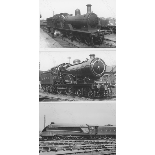 242 - Railway. LNER Locomotives. A good collection of approx. 300, black and white postcard size prints. T... 