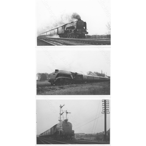 76 - Railway. B.R. Steam. A good collection of approx. 150, black and white, postcard size darkroom print... 