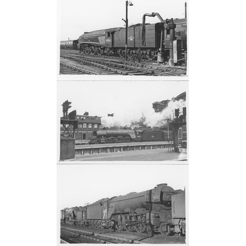 69 - Railway. L.N.E.R./B.R. Steam. A good assortment of approx. 350, black and white postcard size prints... 