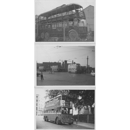 261 - UK Trolley Buses, Trams and Buses. A good assortment of approx. 185, black and white prints with a f... 