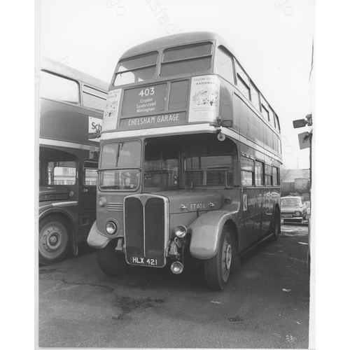 261 - UK Trolley Buses, Trams and Buses. A good assortment of approx. 185, black and white prints with a f... 