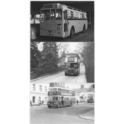 261 - UK Trolley Buses, Trams and Buses. A good assortment of approx. 185, black and white prints with a f... 