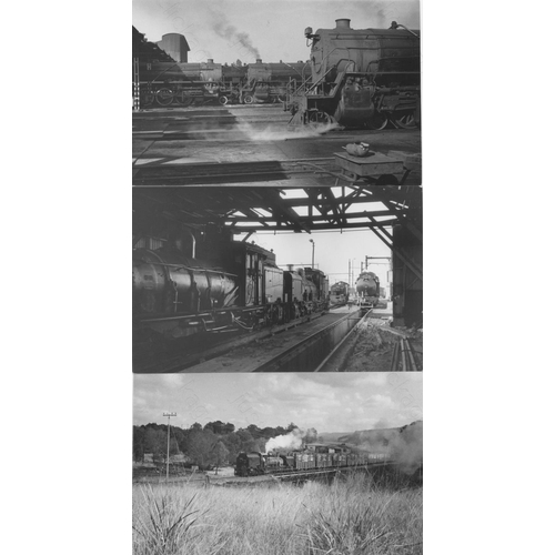 492 - Railway. Overseas Traction - SOUTH AFRICA. A collection of approx. 250, black and white, postcard si... 