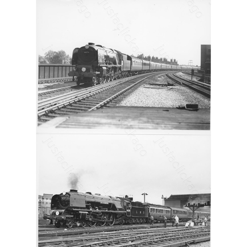 82 - Railway. B.R. Steam. A selection of approx. 46 black and white prints, mostly 10in x 8in, with 16 po... 