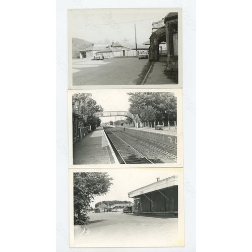 Lot 304       