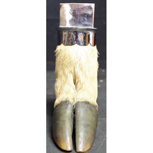 88 - TAXIDERMY DEER HOOF MATCHBOX HOLDER