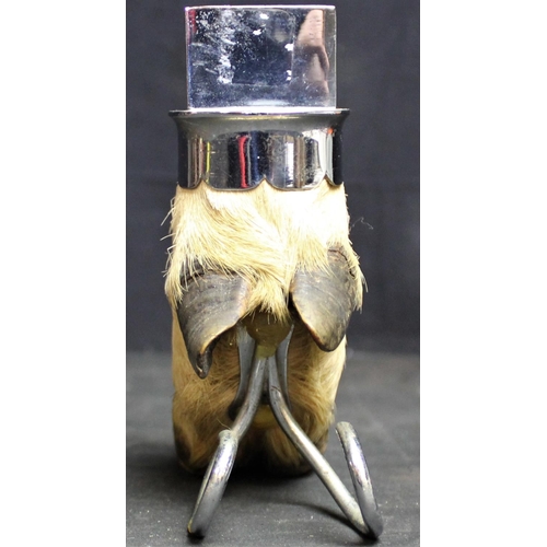 88 - TAXIDERMY DEER HOOF MATCHBOX HOLDER