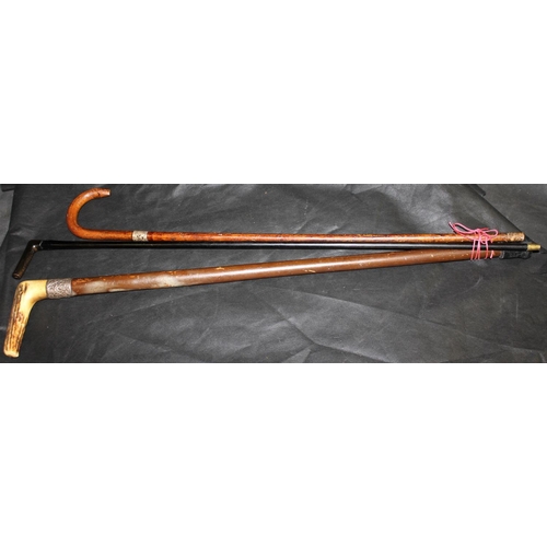 155 - 3 WALKING STICKS