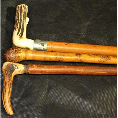 162 - 3 WALKING STICKS