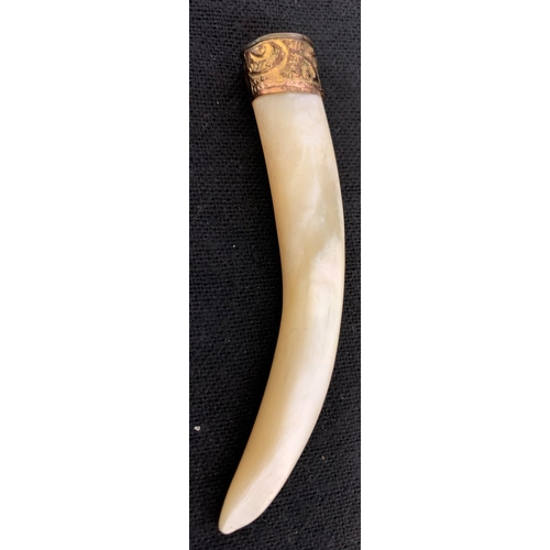 355 - MOTHER OF PEARL TUSK WITH 18ct GOLD BAND