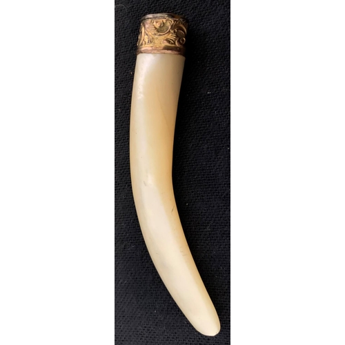 355 - MOTHER OF PEARL TUSK WITH 18ct GOLD BAND