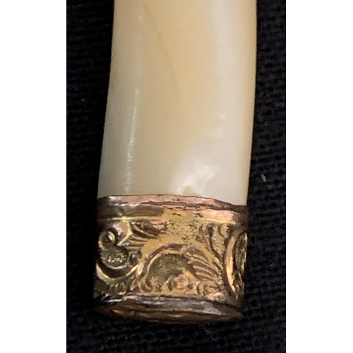 355 - MOTHER OF PEARL TUSK WITH 18ct GOLD BAND