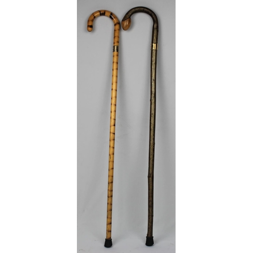 91 - 2 WALKING STICKS