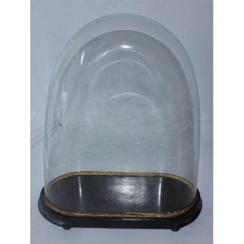 142 - DOMED GLASS CASE