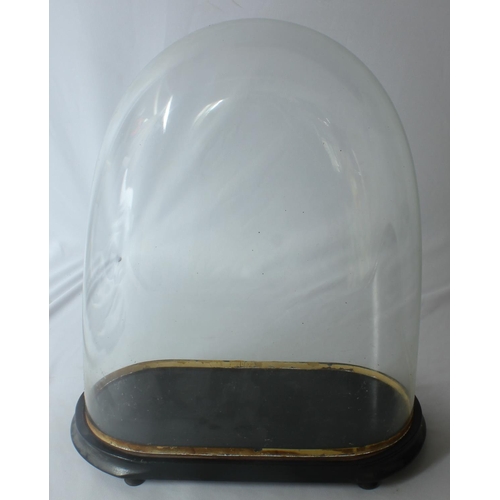 142 - DOMED GLASS CASE