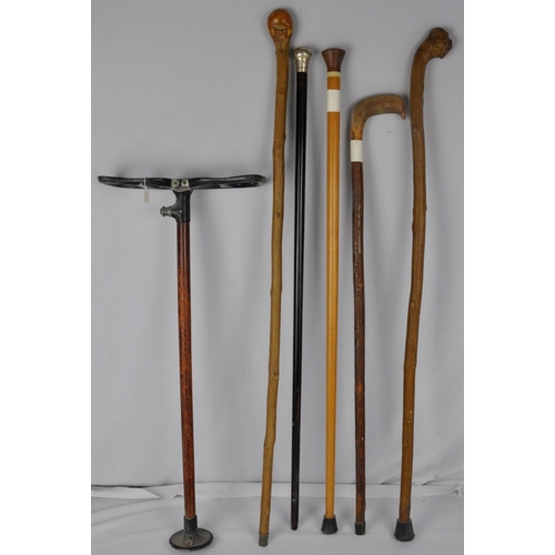 3 - SHOOTING STICK AND 5 WALKING STICKS