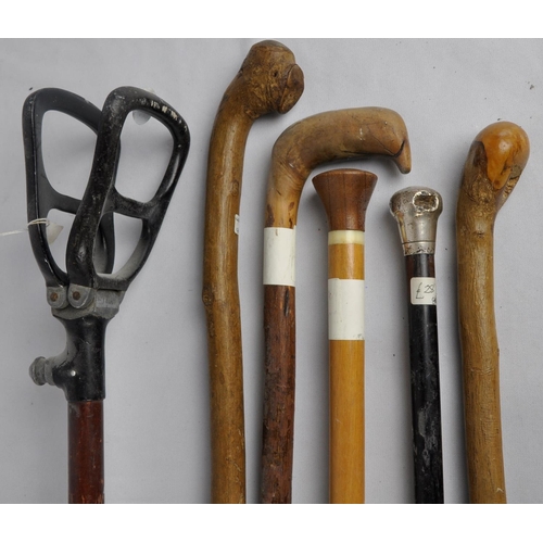 3 - SHOOTING STICK AND 5 WALKING STICKS