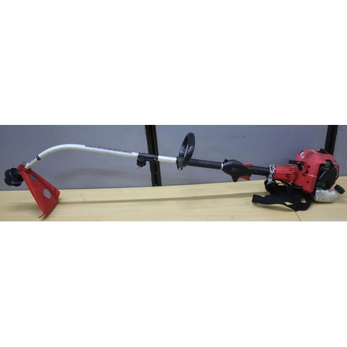 61 - PETROL CHAINSAW (DISMANTLED) & EINHELL PETROL STRIMMER