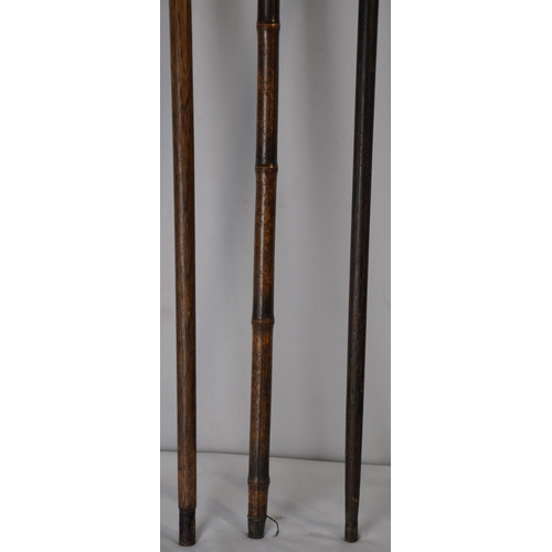 56 - 3 WALKING STICKS