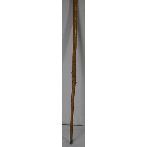 85 - 2 WALKING STICKS