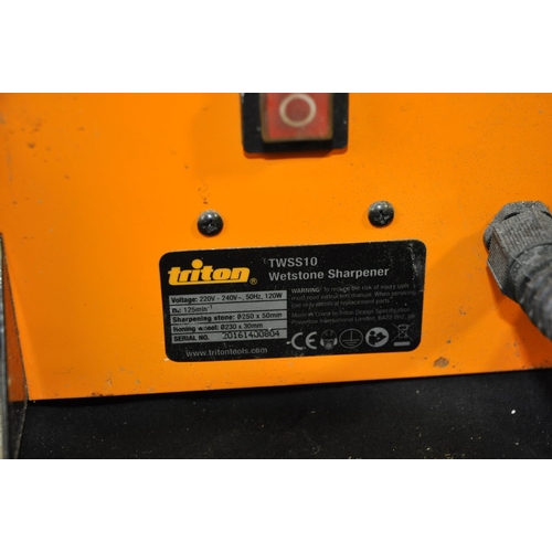 25 - TITAN TWSS10 DOUBLE WHEEL GRINDER/POLISHING WHEEL